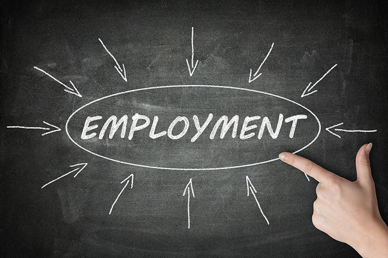 employment the word on a chalkboard