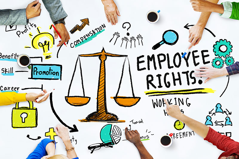 employment rights